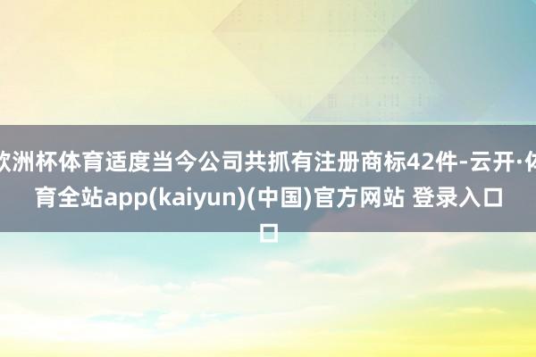 欧洲杯体育适度当今公司共抓有注册商标42件-云开·体育全站app(kaiyun)(中国)官方网站 登录入口