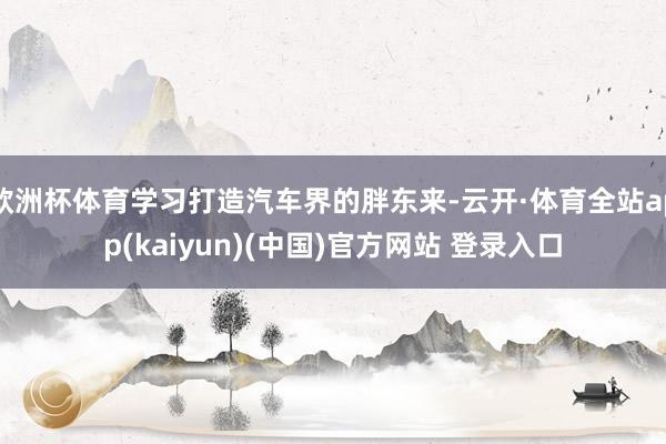 欧洲杯体育学习打造汽车界的胖东来-云开·体育全站app(kaiyun)(中国)官方网站 登录入口