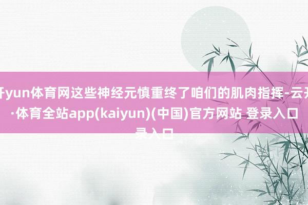 开yun体育网这些神经元慎重终了咱们的肌肉指挥-云开·体育全站app(kaiyun)(中国)官方网站 登录入口