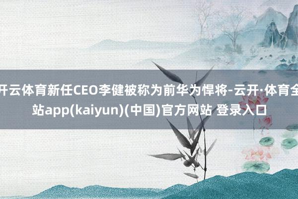 开云体育新任CEO李健被称为前华为悍将-云开·体育全站app(kaiyun)(中国)官方网站 登录入口