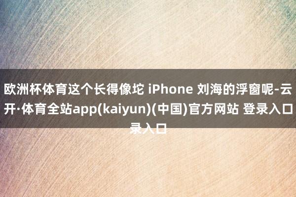 欧洲杯体育这个长得像坨 iPhone 刘海的浮窗呢-云开·体育全站app(kaiyun)(中国)官方网站 登录入口