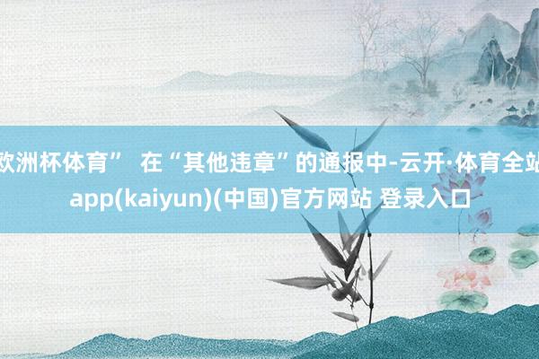 欧洲杯体育”  在“其他违章”的通报中-云开·体育全站app(kaiyun)(中国)官方网站 登录入口
