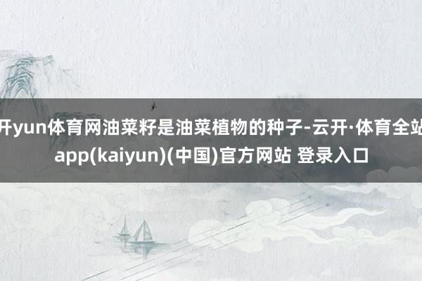 开yun体育网油菜籽是油菜植物的种子-云开·体育全站app(kaiyun)(中国)官方网站 登录入口