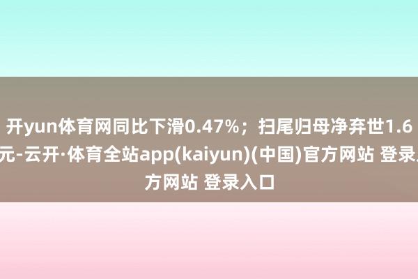 开yun体育网同比下滑0.47%；扫尾归母净弃世1.65亿元-云开·体育全站app(kaiyun)(中国)官方网站 登录入口