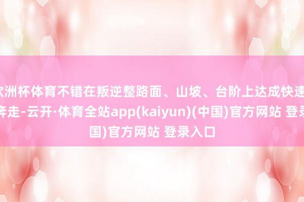 欧洲杯体育不错在叛逆整路面、山坡、台阶上达成快速、赋闲奔走-云开·体育全站app(kaiyun)(中国)官方网站 登录入口