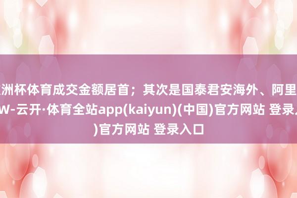 欧洲杯体育成交金额居首；其次是国泰君安海外、阿里巴巴-W-云开·体育全站app(kaiyun)(中国)官方网站 登录入口