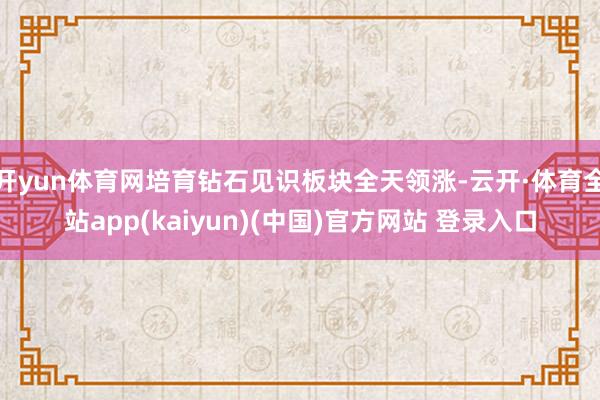 开yun体育网培育钻石见识板块全天领涨-云开·体育全站app(kaiyun)(中国)官方网站 登录入口