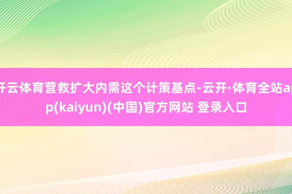 开云体育营救扩大内需这个计策基点-云开·体育全站app(kaiyun)(中国)官方网站 登录入口